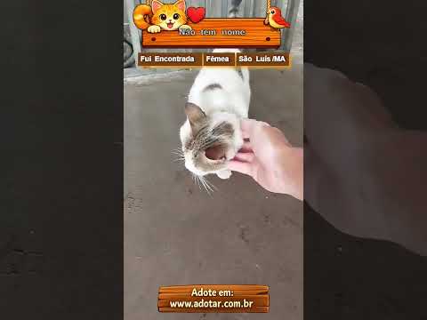 Vídeo de Não tem nome
