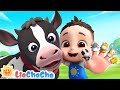 Farm Animals Finger Family Sing And Dance With Farm Animals Kids Songs LiaChaCha