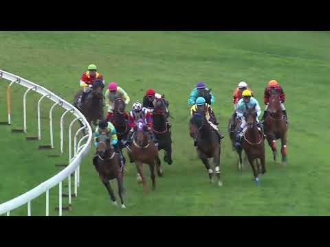 2022-01-22 Macau Meeting Race 5(0127) - THE LENS