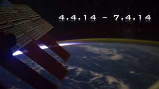 Terence McKenna on the #WaveOfAction