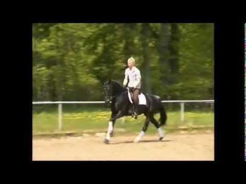 Rappstute von Ron Rubin/Diamond Hit/Rohdiamant