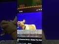 Rohail Hashmi COW