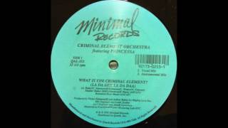 Criminal Element Orchestra - What Is The Criminal Element? (La Da Dee La Da Daa)