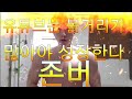 초보유튜버 신입유튜버분들 유튜브는 볼거리가 많아야 성장합니다 치킨집도 3년은 해봐야 성과가 나옵니다 존버정신 될때까지 밀어붙입시다