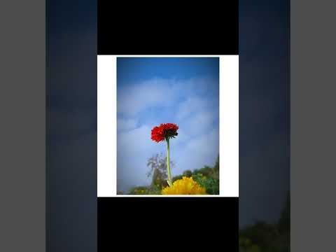 pruthaphotography @secretphotographer