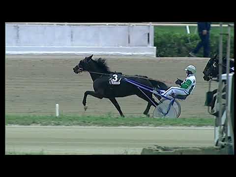 Napoli Trotto 31/10/2021 - 2ª corsa