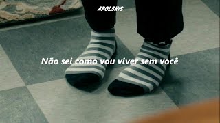 Pigeon - Cavetown ✗ Tradução/Legendado