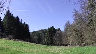 Metal Detecting Germany Nr.40 Detecting the Old Mill Part III