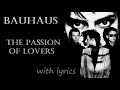 The passion of lovers - Bauhaus (LYRICS)