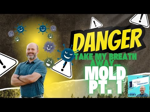 Could it be Mold, Part 1
