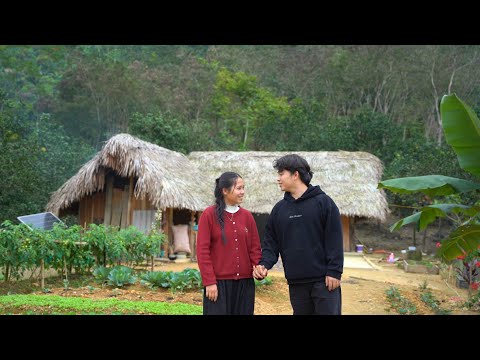 Mr. Hung harvests oranges at the end of the season | A new appearance