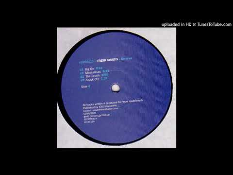 Fresh Moods - Delite Electronic (2000)