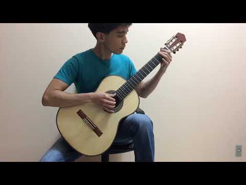 Domingo Semenzato - Divagando