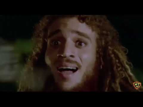 NTV Moment of Zen: PIRANHA II: THE SPAWNING (1981)