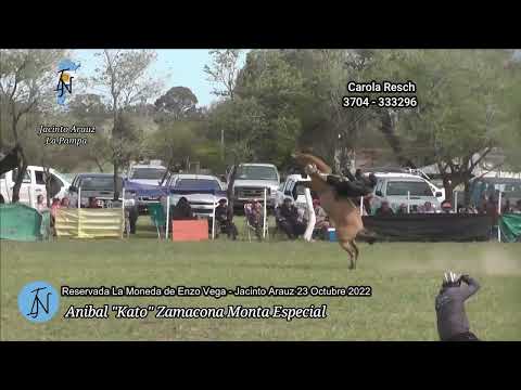 La Moneda Anibal  Kato Zamacona Jacinto Arauz 23 Octubre 2022