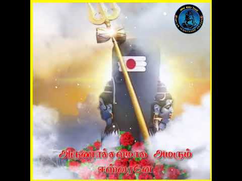 ||🕉️Engum Sivamaga Ethilum Sivamaga🕉️|| || Lord Shiva Tamil whatsapp status New||