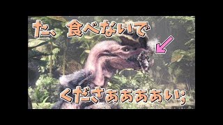 【MHW考察】アンジャナフに羽が生えているのはなぜ？