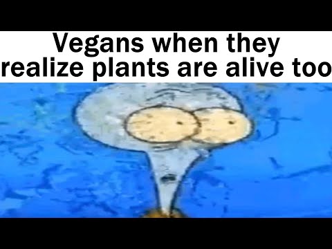 Daily Juicy Memes 1068+1069