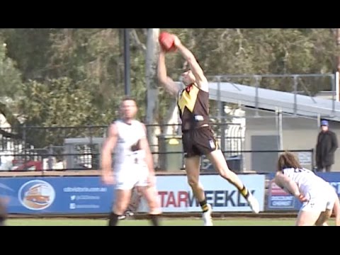 VFL, 2016 - Round 16 Wrap (Will Fordham, Braydon Preuss)
