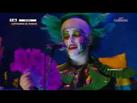 6ta Etapa 2020 - Curtidores de Hongos - Liguilla