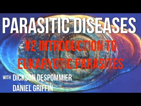Parasitic Diseases Lectures #2: Introduction to Eukaryotic Parasites