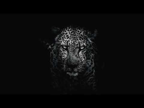 2WEI - Pushin On - Extended (Pop/Rock Music)