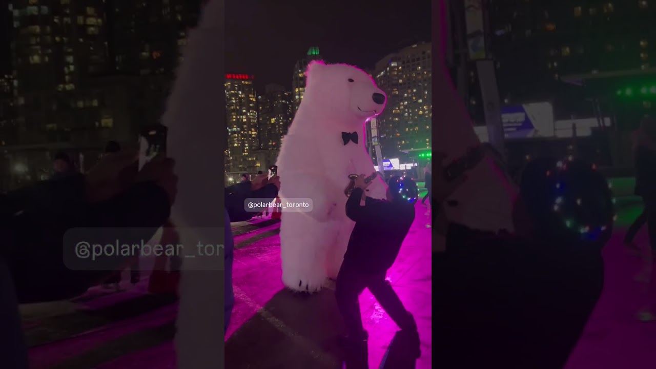 Promotional video thumbnail 12 for The Sidewalk Crusaders