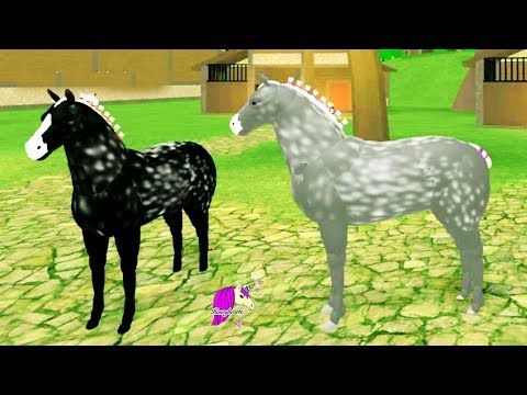 percheron hippogriff honeyheartsc