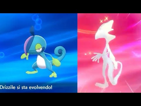 Drizzile si evolve in Inteleon - Pokémon Spada e Scudo