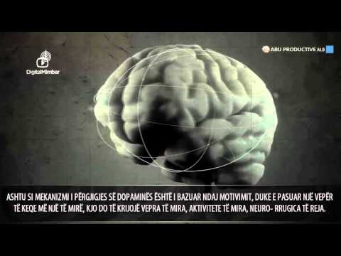 Mvarësia nga Pornografia   Shërimet e saja & Mbrojtja nga ajo 2014