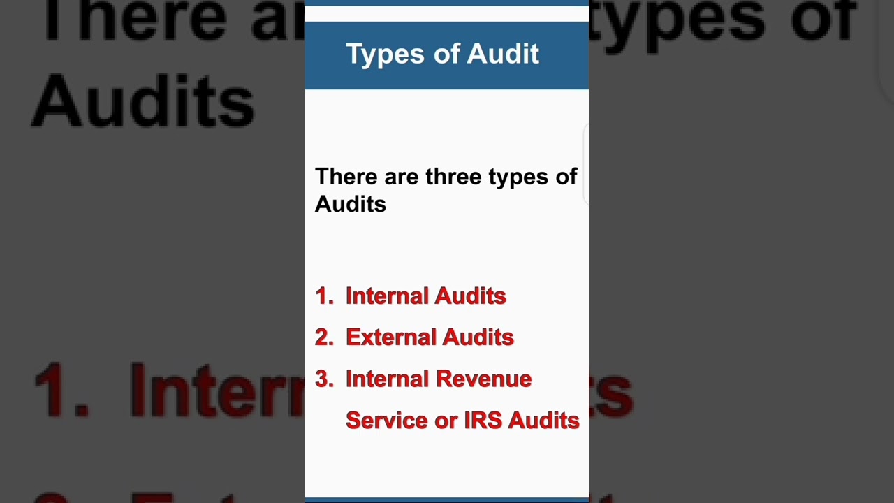 Business Audit/ Types of Audit