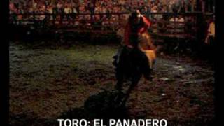 preview picture of video 'El Panadero III'