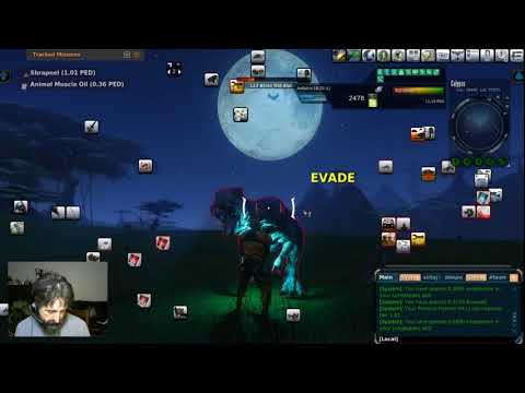 Hunting Atrax on Calypso.