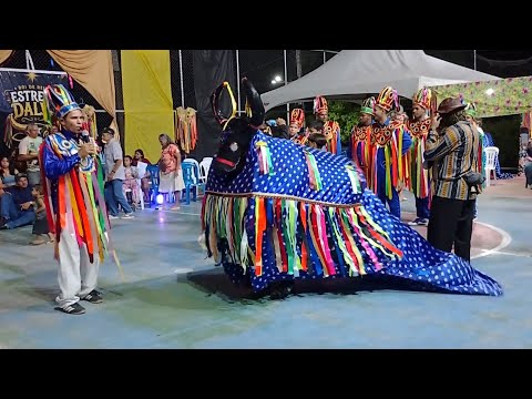  Boi de Reis Estrela Dalva, Manimbu /São José de Mipibu RN/ Cavalo Marinho Raiz Cultural/Bayeux PB 