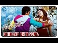 Mirapakay Movie HD Video Songs - Dhinaku Dhin Song | Ravi teja | Richa Gangopadhyay | Deeksha Seth