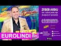 Zyber Avdiu - E Kem Nise Nje Dasem T'madhe