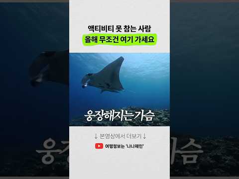 오키나와 이시가키섬: 놓치면 아쉬운 최강 액티비티 여행지