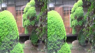 preview picture of video '3D matsudo tojo house 松戸 戸定邸 110505'