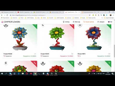 Итоги розыгрыша Крипто фоловерс