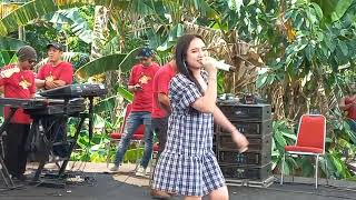 Download lagu Ikan Dalam Kolam ~ Caca Veronika | Familys Group mp3 Download lagu Ikan Dalam Kolam ~ Caca Veronika | Familys Group mp3