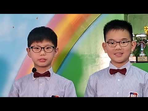 video-image