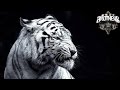 Hard Motivational Choir Rap Beat Instrumental 2016 Fight