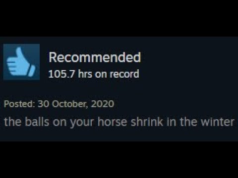 Guess the video game from the weird Steam review!