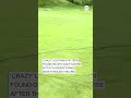 ‘Crazy’ lightning pattern found on Ohio golf course after thunderstorm - Video