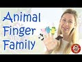 Animal Finger Family Song Family Nursery Rhymes Super Simple Songs For Kids Learn Animals