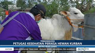 Download lagu METRO NEWS - Pemeriksaan Hewan Kurban Intensif Jelang Idul Adha mp3