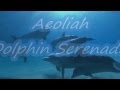 Dolphin Serenade -Aeoliah.