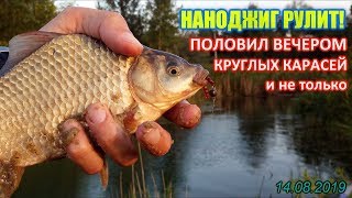 Ловится ли карась на спиннинг
