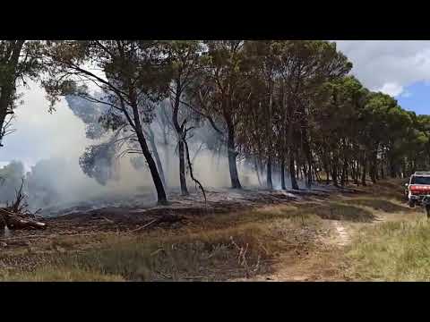 Controlan un incendio de vegetación en Azagra: afecta a un pinar en Palomeras   Controlan un incendio de vegetación en Azagra: afecta a un pinar en Palomeras