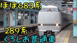 元日・JR西日本乗り放題きっぷ2019④289系くろしお編